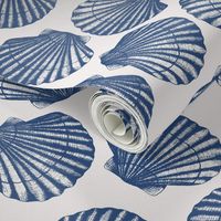 Sea shells white and blue coastal toile - medium scale