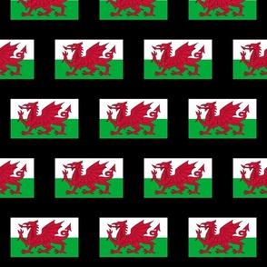 LARGE Welsh Flag fabric - Cymru flag design  6in