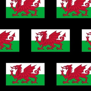 XXLARGE Welsh Flag fabric - Cymru flag design  10in