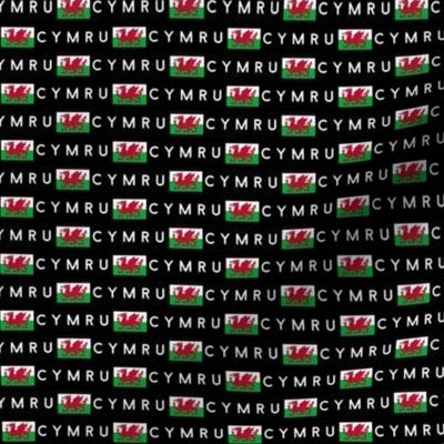 MINI Welsh Flag fabric - Cymru flag design black 2in
