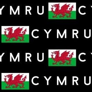 MEDIUM Welsh Flag fabric - Cymru flag design black 6in