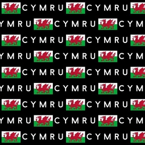 LARGE Welsh Flag fabric - Cymru flag design black 8in