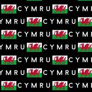 XLARGE Welsh Flag fabric - Cymru flag design black 10in