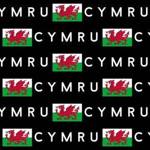 JUMBO Welsh Flag fabric - Cymru flag design black 12in