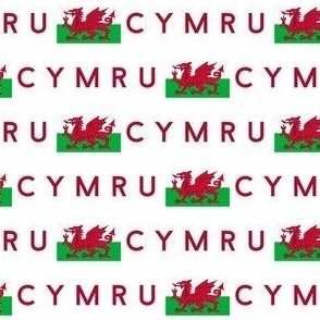 SMALL Welsh Flag fabric - Cymru flag design white 4in