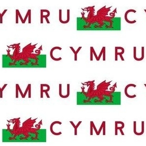 MEDIUM Welsh Flag fabric - Cymru flag design white 6in