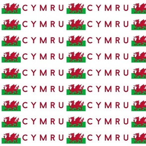 LARGE Welsh Flag fabric - Cymru flag design white 8in
