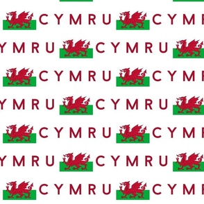 XLARGE Welsh Flag fabric - Cymru flag design white 10in