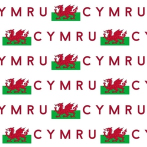 JUMBO Welsh Flag fabric - Cymru flag design white 12in