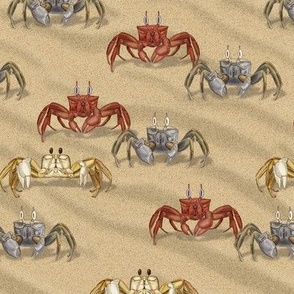 Small-Scale Ghost Crabs