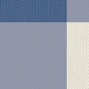 Twill Textured Gingham Check Plaid (6" squares) - Denim Blue and Cream  (TBS197)