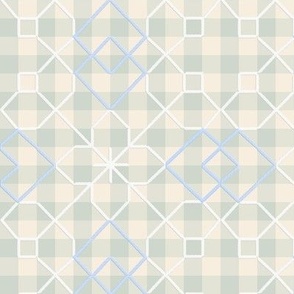 broderie suisse embroidered blue gingham