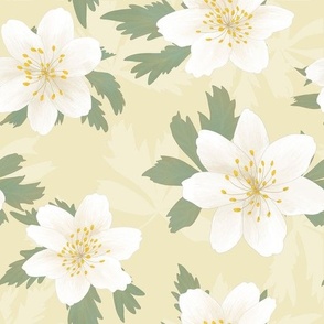 Beige and White Painted Flowers