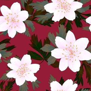 White Flowers on Ruby Cherry Red Background