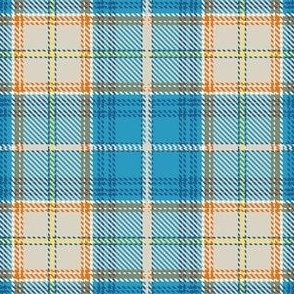 Florida Unofficial State Tartan Plaid