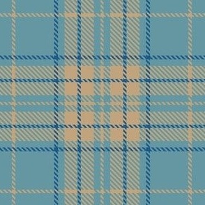 Delaware Unofficial State Tartan Plaid