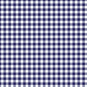 Indigo Gingham 1 x 1