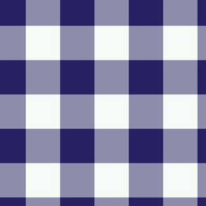 Indigo Gingham 12 x 12