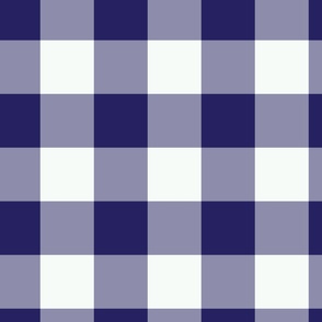 Indigo Gingham 24 x 24