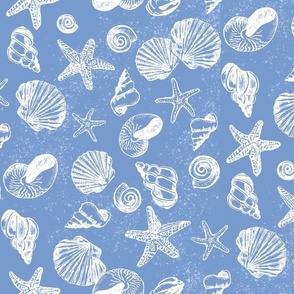 Scattered Sea Shells-Ocean blue 