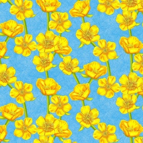 Yellow Buttercups Illustrated on French Blue Medium Scale