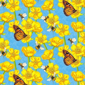 French Blue Buttercups, Bees and Butterflies Illustrated Color Medium Scale