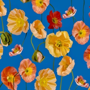 Poppies on a blue background