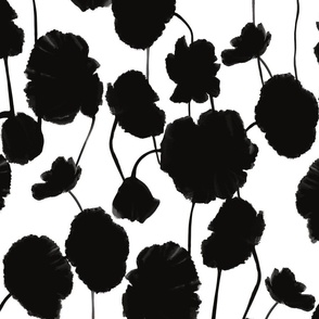 Black and white poppies