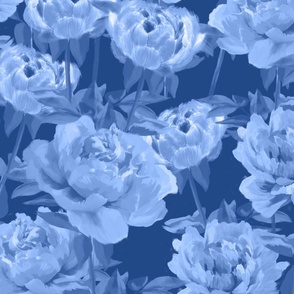 Blue  and White peonies 