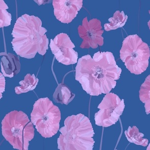 Pink poppies on blue background