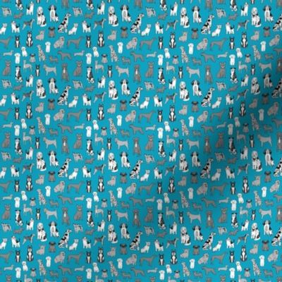 MICRO dogs wallpaper - teal and grey dog dog breeds_ happy pets design 2in