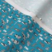 MICRO dogs wallpaper - teal and grey dog dog breeds_ happy pets design 2in