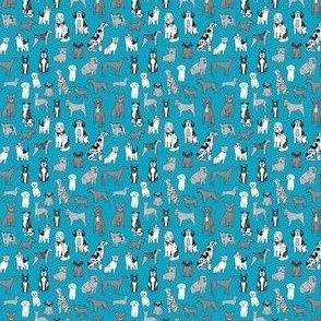 MICRO dogs wallpaper - teal and grey dog dog breeds_ happy pets design 2in