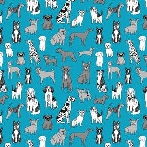 MINI dogs wallpaper - teal and grey dog dog breeds_ happy pets design 4in
