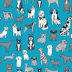 JUMBO dogs wallpaper - teal and grey dog dog breeds_ happy pets design