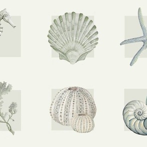 Coastal Patchwork of sea creatures in neutral tones