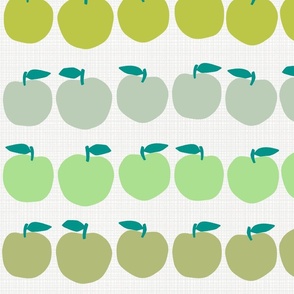 Apples in many shades of green | medium size