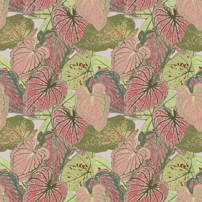 Caladium in Coral, Olive & Grey • MEDIUM