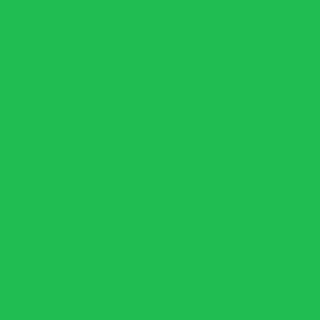 Medium Bright Green Solid V1, V2