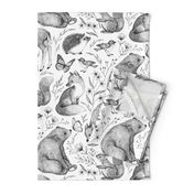 Forest Fauna Toile - black and white 