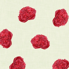 Watercolour Red Peony on Ivory - large