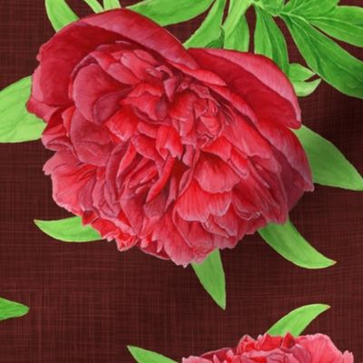 Elegant Watercolour Red Peony on Burgundy - Medium