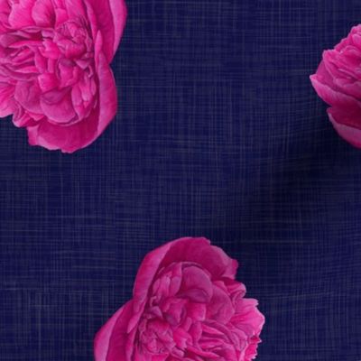  Watercolour Pink Peony on Indigo - medium