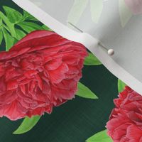 Elegant Watercolour Red Peony on Emerald Green - Small