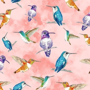 Illustrated Hummingbirds Tossed on Peach Clouds Large Scale