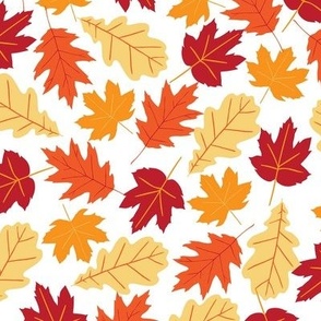 Red Orange Yellow Falling Leaves on White Large 12"