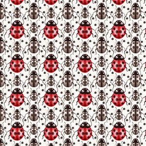 Ladybugs