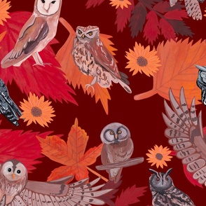 Autumn Owls 