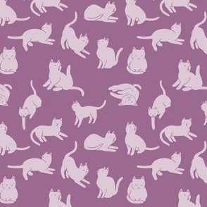 Lilac Cats