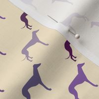 Greyhound - Shades of Purple